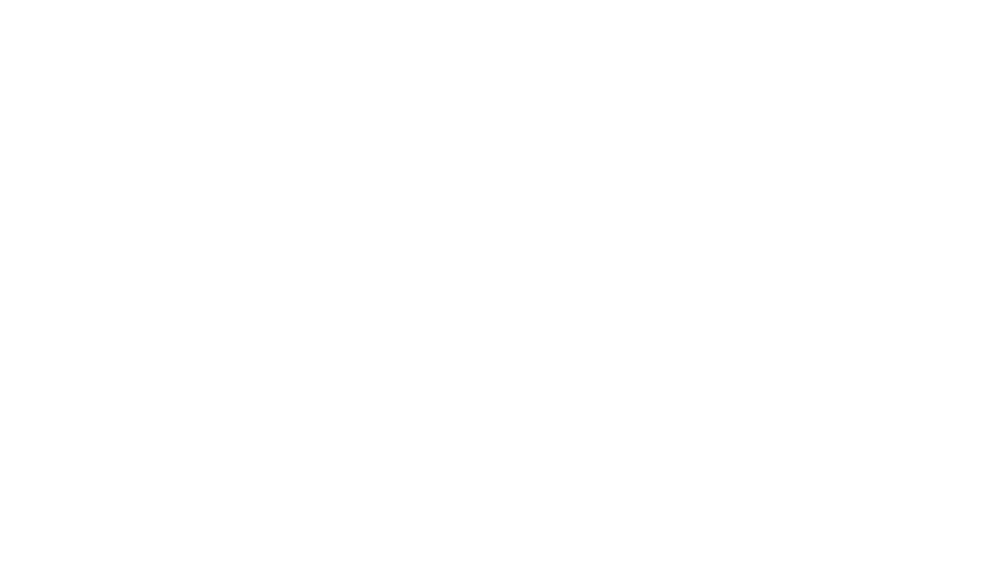 BizX Logo